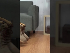 Мужская спортивная обувь, антискользкая и износостойкая